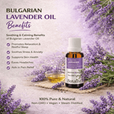 Bulgarian Lavender Oil - Botalife USA