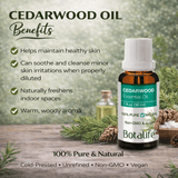 Cedarwood Oil 1oz - Botalife USA