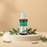 Eucalyptus Oil 1oz - Botalife USA