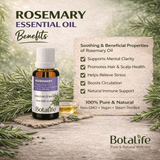 Rosemary Oil - Botalife USA